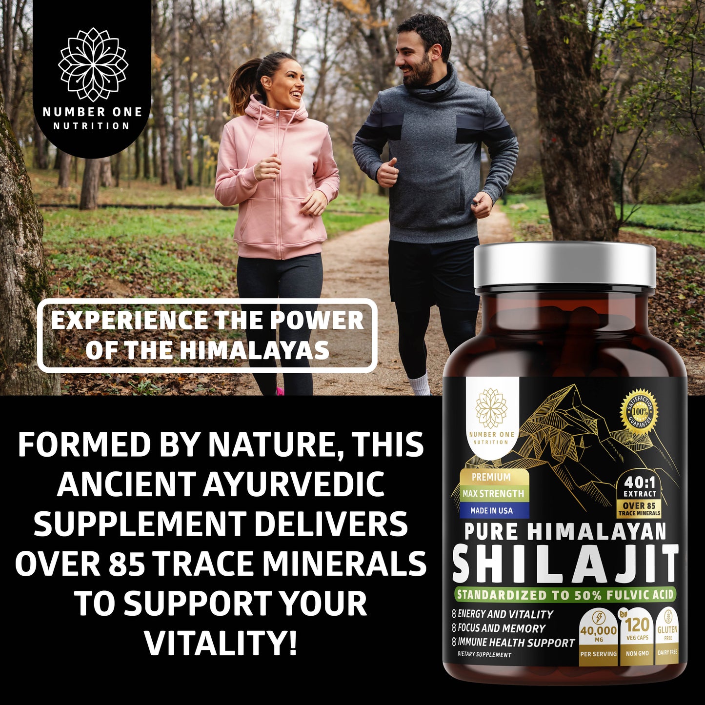 Pure Himalayan Shilajit 1000 for Men and Women, 120 Veg Caps